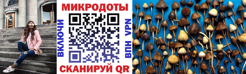 shop наркотические препараты  купить   Кумертау  Галлюциногенные грибы Psilocybe 
